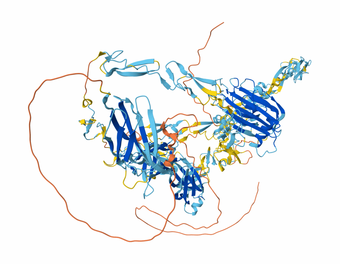 SNED1 ribbon structure sources from AlphaFold Protein Structure Database