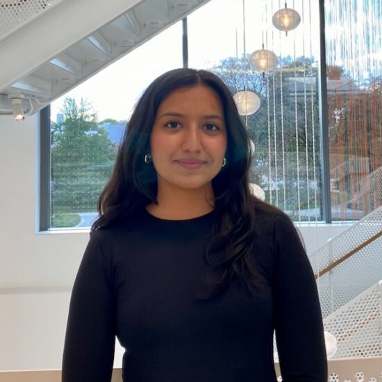 Undergraduate Research Assistant